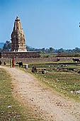 Khajuraho - Javari temple 